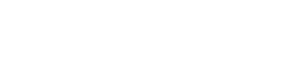 Ironchip