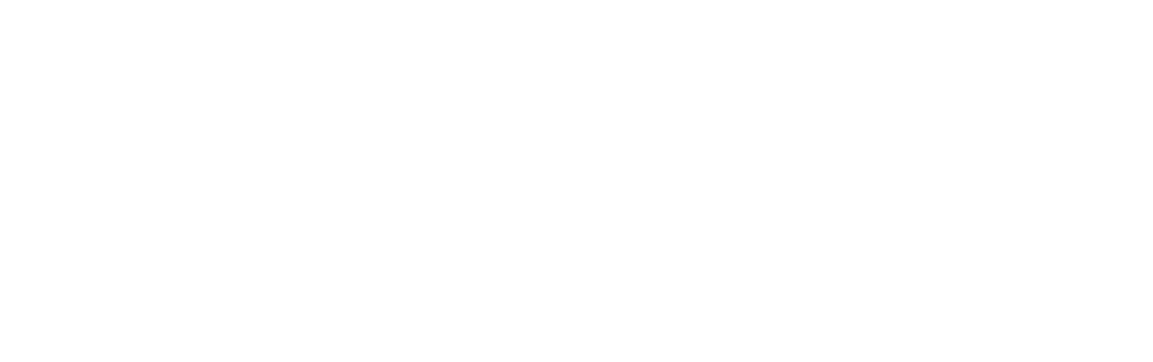 Vig-Sec Drone